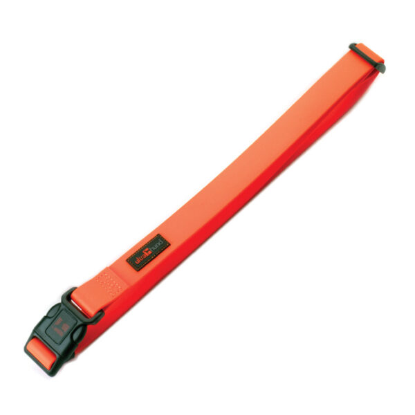 Adjustable Belt Orange, 1" Wide