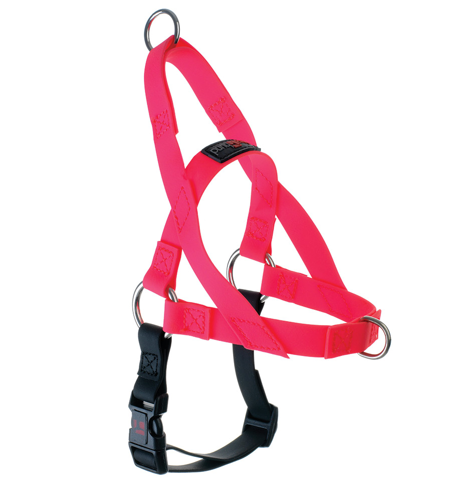 freedome harness