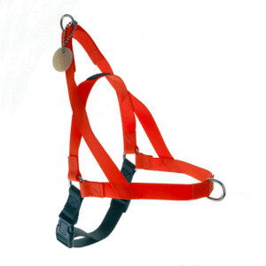 Freedom Harness Orange, 1" Wide, Large