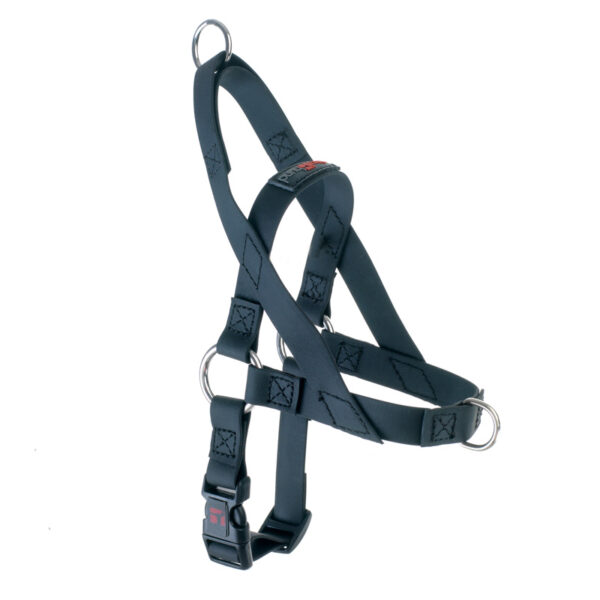 Freedom Harness Black, 3/4" Wide, Medium