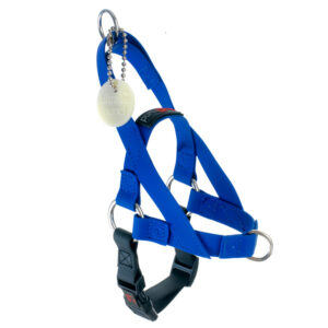 Freedom Harness Blue, 3/4" Wide, Medium