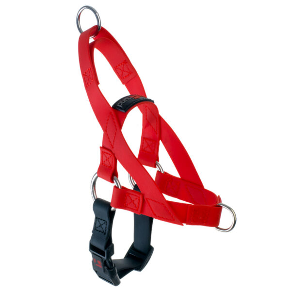 Freedom Harness Red, 3/4" Wide, Medium