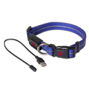 LED Adjustable Collar Large Blue