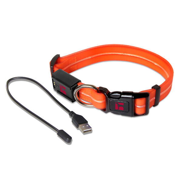 LED Adjustable Collar Large Orange