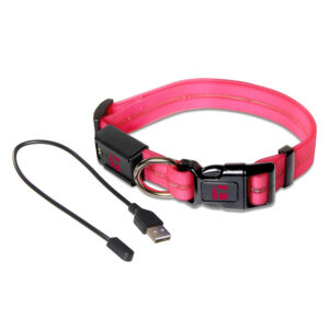 LED Adjustable Collar Large Pink