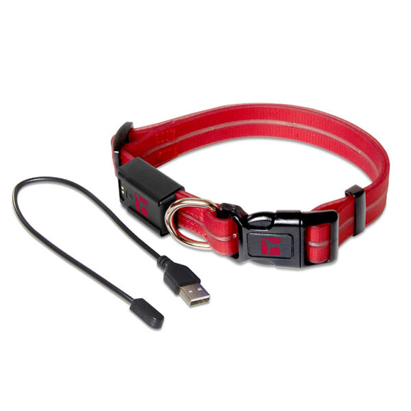 LED Adjustable Collar Large Red