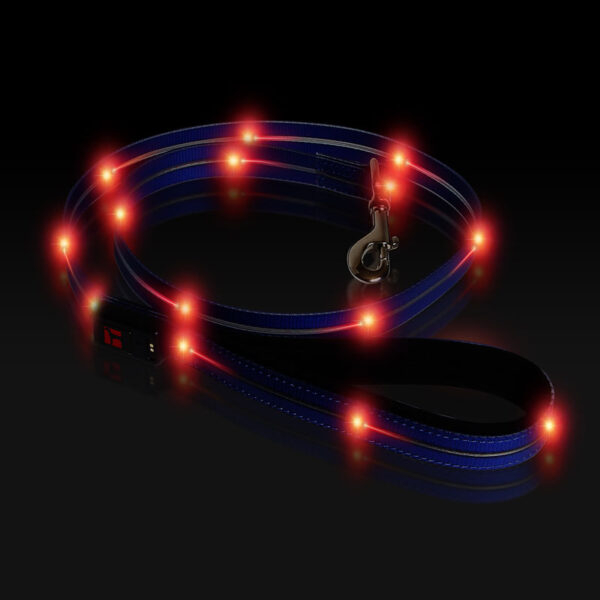 Boss LED Lead 4 foot Blue, Night