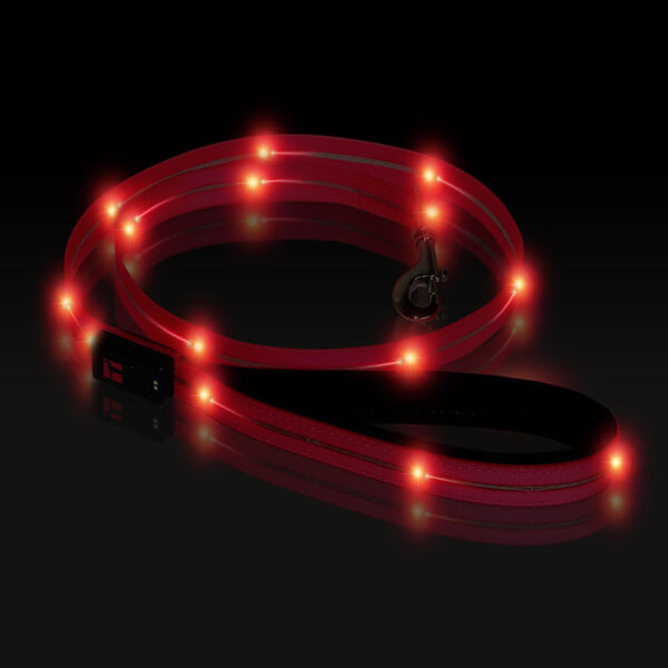 Boss LED Lead 4 foot Pink, Night