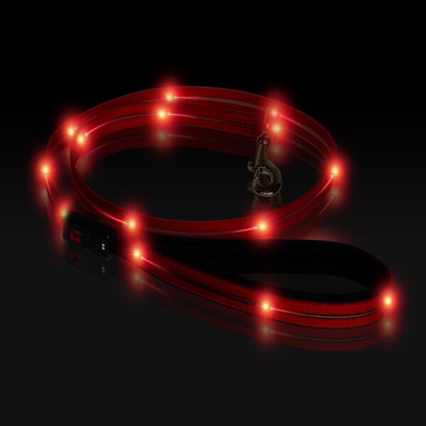 Boss LED Lead 4 foot Red, Night