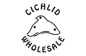 Cichlid Wholesale