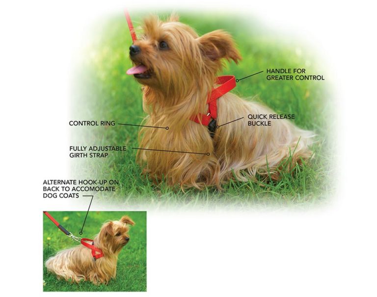 Freedom Dog Harnesses Ultrahund