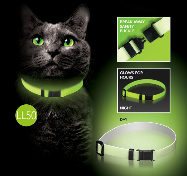 glow cat collar