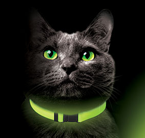 Lunalinx Glow Cat Collar