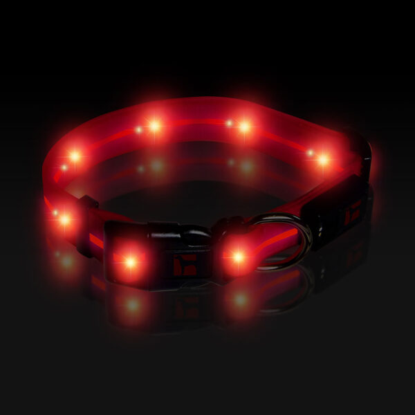 LED Adjustable Collar Large Pink, Night