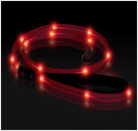 Play LED Collars