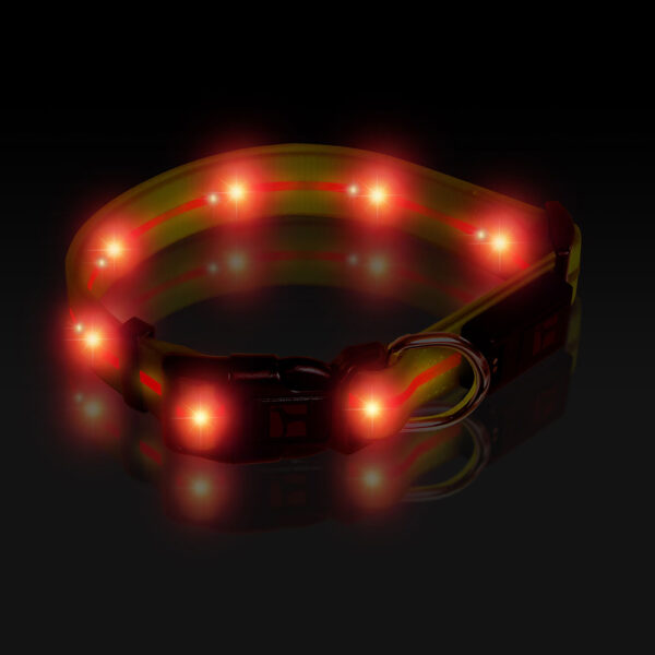 LED Adjustable Collar Large Yellow, Night